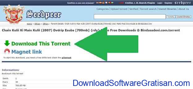 Torrent to idm