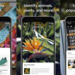 Aplikasi Pencarian Gambar Terbalik Terbaik untuk iPhone dan Android - Google Lens